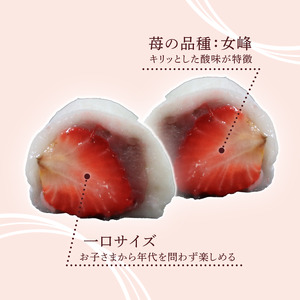 いちご大福 6個 国産 いちご 大福