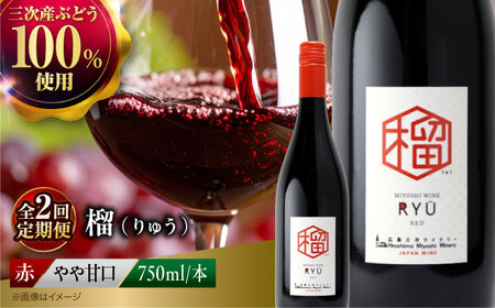 【全2回定期便】ワイン 榴 りゅう 750ml [APAZ137] 赤ワイン