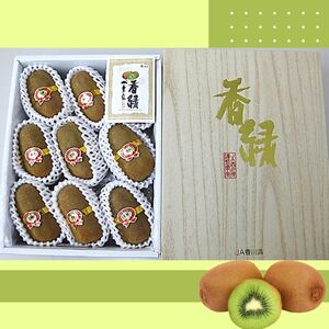 香緑（キウイフルーツ）1.2kg 8～10個 化粧箱入り【予約受付中！令和8年11月中旬頃より発送！】【A-111】