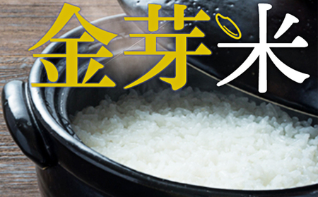 お米 無洗米 静岡県産 JAおおいがわ 金芽米 5kg お米
