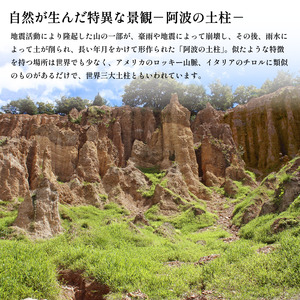 洋ラン シンビジウム 切り花 詰め合わせ 【 シンビジウム 】