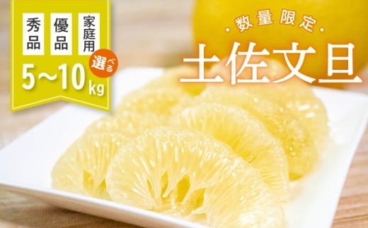 
                  【 先行予約 】 土佐文旦 5~10kg 高知県産 柑橘 フルーツ 文旦 ぶんたん ブンタン 分担 果物 みかん 文旦 産地直送 高知県 須崎 須崎市 KG0041-all
                