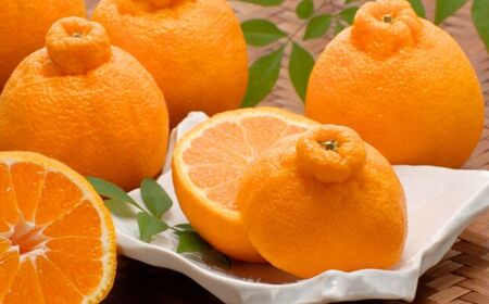 【先行予約】【数量限定】JAにしうわ みつる共選 デコポン 約5kg（化粧箱）※離島への配送不可（2026年2月中旬より順次発送予定） 【 みかん ミカン デコポン 不知火 しらぬい 果物 】 IKTBC008