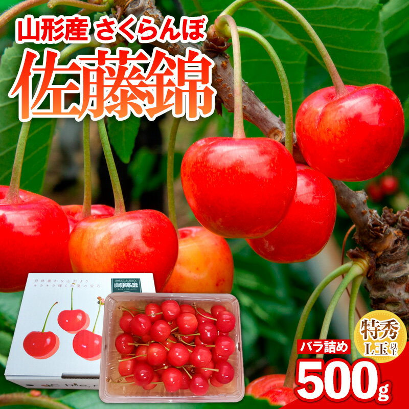 【ふるさと納税】さくらんぼ 佐藤錦 500gパック バラ詰め 特秀 L玉以上 FY25-121