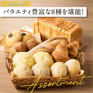 自家培養酵母の旨味を堪能♪お楽しみ詰め合わせパンセット！ 065-05 | パン