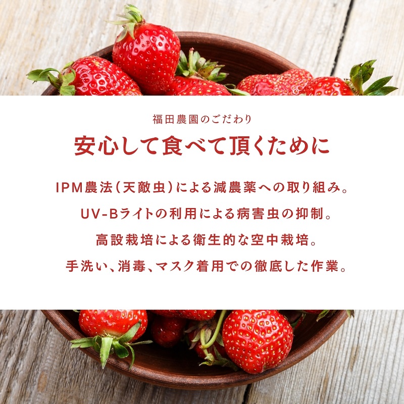 福田さんちのイチゴ(さぬきひめ) 2L サイズ ×6パック1.5kg以上【配送不可：北海道、沖縄、離島エリア】苺 農園直送 いちご採れたて直送