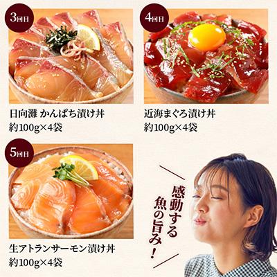 ふるさと納税 延岡市 【毎月定期便】【ふるさと納税】日向灘 海鮮漬け丼 バラエティ全5回 |  | 02
