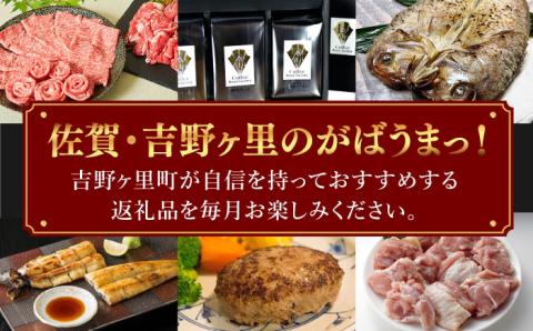 【全12回定期便】＜豪華！まんぞく！まんぷく！＞佐賀牛 うなぎ含む 吉野ヶ里町バラエティー定期便Aコース [FZZ013]