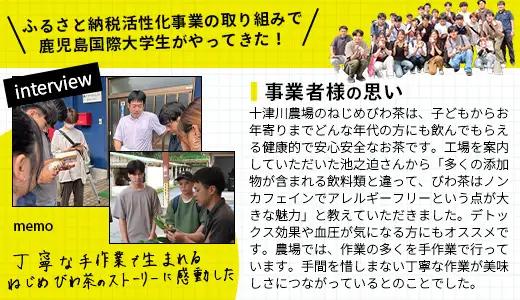 【定期便 12ヶ月全6回】 鹿児島県産 ねじめびわ茶 ボトル缶 12ケース ≪ 1回あたり48本 (24本入り×2箱) ≫ 2か月おきにお届け ノンカフェイン TO-525| 国産 お茶 健康茶 カロ