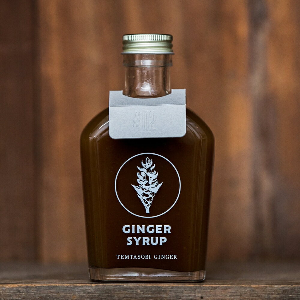 【ふるさと納税】クラフトジンジャーシロップ【スパイス】TEMTASOBIGINGER ジンジャーシロップ 生姜シロップ しょうがドリンク 手作りシロップ 無添加シロップ ジンジャーエール 国産生姜 炭酸 ホットドリンク 冷え対策 免疫サポート 生姜 ギフト 愛知県 豊橋市