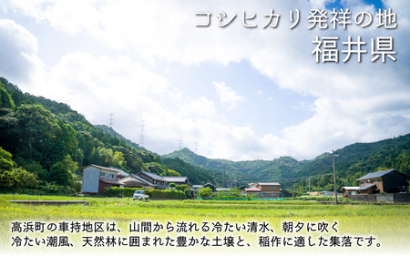 【先行予約】【令和7年産　新米】【3ヶ月定期便】くらもち完熟米 コシヒカリ 白米10kg（5kg×2袋）×3回　計30kg【2025年10月より順次発送】ふるさと納税 定期便 毎月 届く 小分け 米 