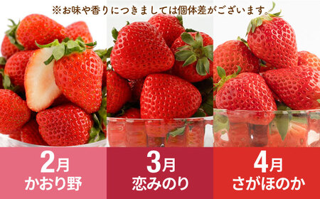 【R8年2月以降発送】【全9回定期便】赤いちご3種と佐賀産和牛のセット / いちご 牛肉 [IZZ022]