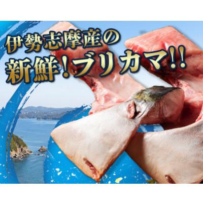 ふるさと納税 南伊勢町 【2ヵ月毎定期便】伊勢志摩産 ブリカマ 1kg キャンプで炭火焼がオススメ 真空冷凍 新鮮な鰤全3回 |  | 01