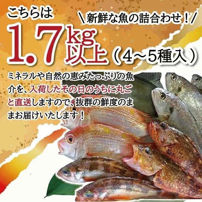 地魚おまかせセット 4～5種類入り 計1.7kg以上 冷蔵便 ※着日指定・離島（沖縄県を含む）への発送不可 東北 山形県 遊佐町 庄内地方 鮮魚 詰合せ 産地直送 新鮮 [1620]