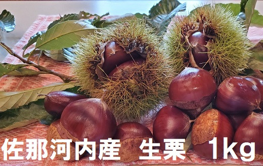 【数量限定】佐那河内産　生栗1kg(サイズ混合)《10月中旬-10月末頃発送》---sanagouchi_lcl_20_1kg---