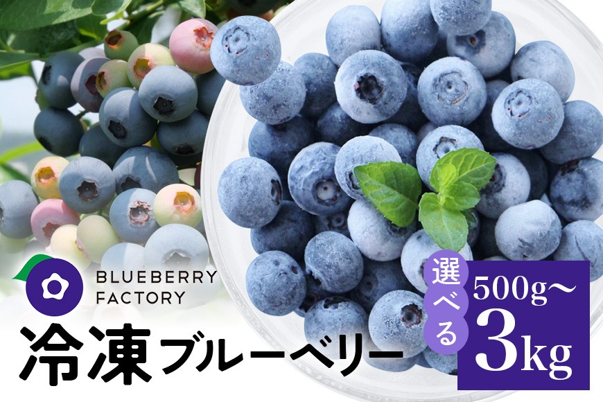 
                  冷凍 ブルーベリー ＜真空パック保存＞ 選べる 500g 1kg 2kg 3kg パック 完熟 果物 手摘み ブルーベリー 果実 冷凍 ベリー フルーツ くだもの 日時指定可 岐阜県 川辺町 A16-SKU-001
                
