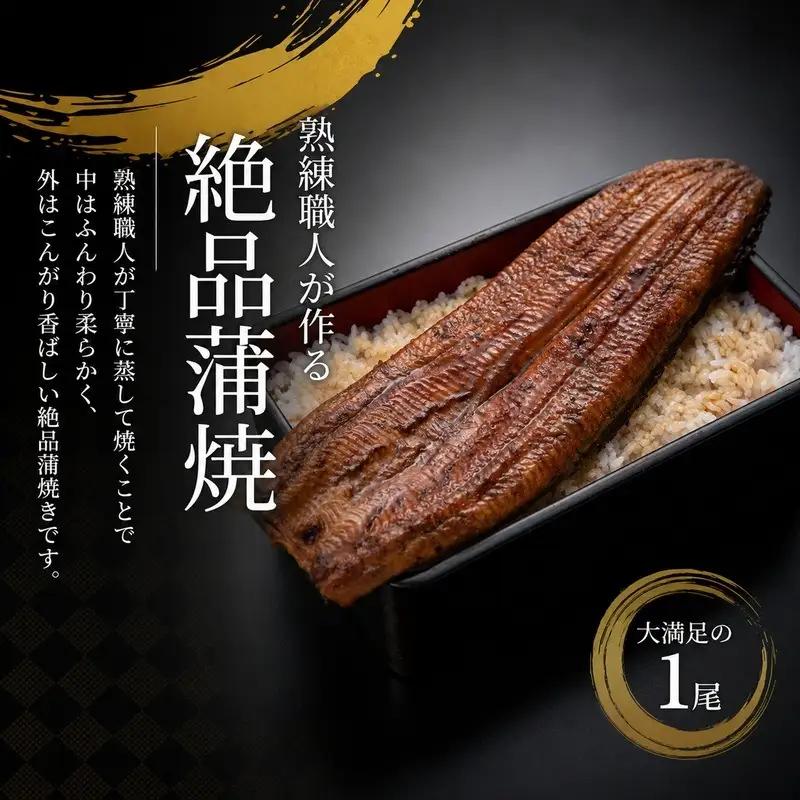 うなぎ 訳あり 国産 数量限定 蒲焼き 1本 250g 特大 うなぎ