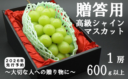 【令和８年度先行予約】贈答用！希少価値の高い高級シャインマスカット（１房 ６００ｇ以上）　シャイン シャインマスカット マスカット 葡萄 ぶどう ブドウ 果物 くだもの フルーツ 山梨 やまなし 富士