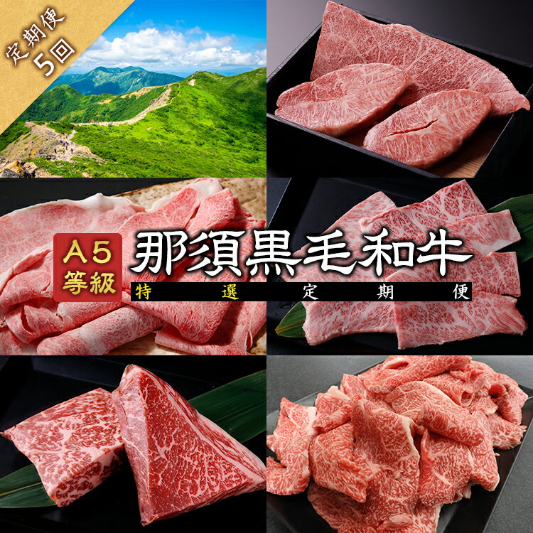 【ふるさと納税】《定期便5回》A5等級 那須黒毛和牛 特選定期便 ステーキ しゃぶしゃぶ カルビ もも肩肉 牛小間 〔I-14〕| 牛肉 国産 赤身 那須和牛 黒毛和牛 那須黒毛和牛 とちぎ和牛 栃木和牛 ブランド牛 A5 すき焼き しゃぶしゃぶ 焼肉 ステーキ 夜ご飯 夜ごはん 晩ご飯