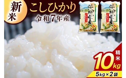 精米 コシヒカリ 10kg (5kg × 2袋)【令和7年産】米 精米 白米 こしひかり 茨城県 鹿嶋市 国産 送料無料 お米 ごはん おにぎり 冷めても 美味しい 粘り うまみ 厳選 出荷直前精米 ツヤ かおり うまい（KY-1）