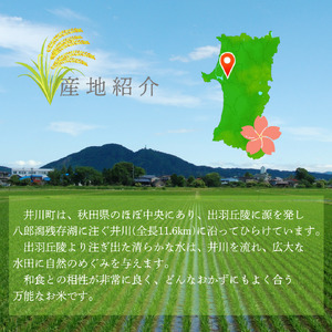 【令和7年産先行予約】精米５ｋｇ　秋田県井川町産あきたこまち