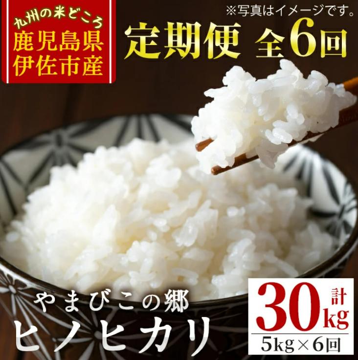 E0-03 【定期便6回】特別栽培ヒノヒカリ(計30kg・毎月5kg×6ヶ月) 白米 精米 ひのひかり【やまびこの郷】