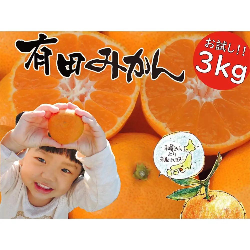 【先行受付】はじめまして 有田みかん 3kg　和歌山県有田川町産　お試し・味重視