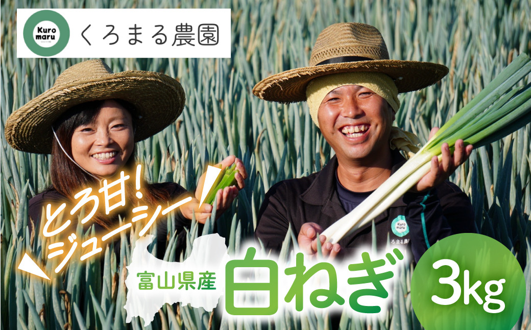 ＜先行予約＞ くろまる農園　富山の白ネギ（泥付き）3キロ