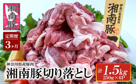 【3ヵ月 定期便】湘南豚　切り落し　1.5kg　※2025年2月から順次発送 【神奈川県産豚】 豚肉 切り落とし 国産 肉 ポーク 小分け 250g 冷凍 生姜焼き 野菜炒め 豚汁 豚丼 人気 おすすめ 藤沢市