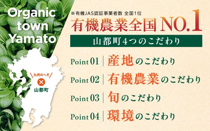 【全12回定期便】オーガニック 野菜 セット 8種【株式会社 肥後やまと】 [YAF030]