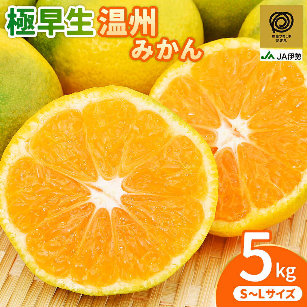【ふるさと納税】 みかん JA 温州みかん 極早生 5kg S～Lサイズ 三重ブランド認定品 光センサー選果 温州みかん ミカン 柑橘 フルーツ 果物 果実 濃厚 旬 先行予約 産地直送 人気 国産 特産品 お取り寄せ 数量限定 期間限定 伊勢農業協同組合 三重県 熊野市 送料無料
