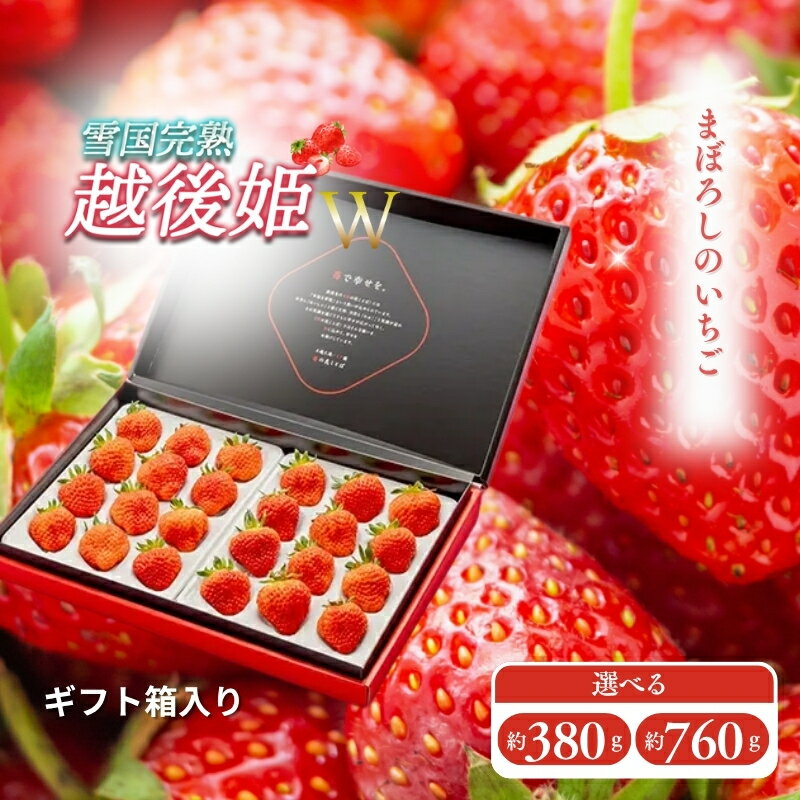 【ふるさと納税】いちご 新潟 雪国完熟越後姫 容量と配送回数が選べる ギフト箱入り イチゴ 苺 フルーツ お取り寄せ 贈り物 上越　お届け：ご入金確認後、11月より順次発送いたします。