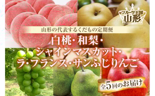 《先行予約 2026年度発送》フルーツ王国山形♪定期便5回 秀品 白桃 梨 シャインマスカット ラ・フランス りんご サンふじ 山形 旬 送料無料 フルーツ 果物 ふるさと納税 FSY-2447