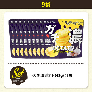 ＜訳あり＞ 訳アリ じゃがスナック ガチ濃ポテト (9袋×43g) 簡易梱包 お菓子 おかし おつまみ 常温 ガーリック バター 【man218-G】【味源】