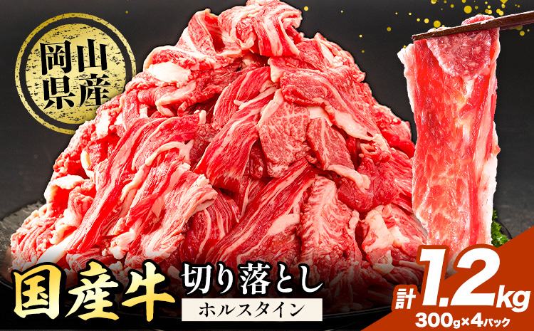 牛肉 肉 国産牛 切り落とし ホルスタイン 大容量 小分け 1.2kg 《30日以内に出荷予定(土日祝除く)》岡山県産 岡山県 笠岡市 お肉 にく カレー 牛丼 牛肉 切り落し 小分け 切落し 牛肉 小分け 牛肉---kasaoka_zsy_130_1200g---