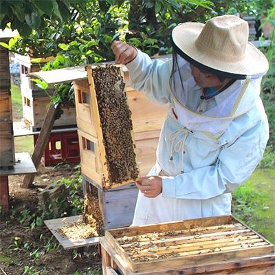 ふるさと納税 五霞町 【生ハチミツ3種(大)】　月ごとに楽しむ田舎はちみつ　無添加非加熱天然蜂蜜セット |  | 03