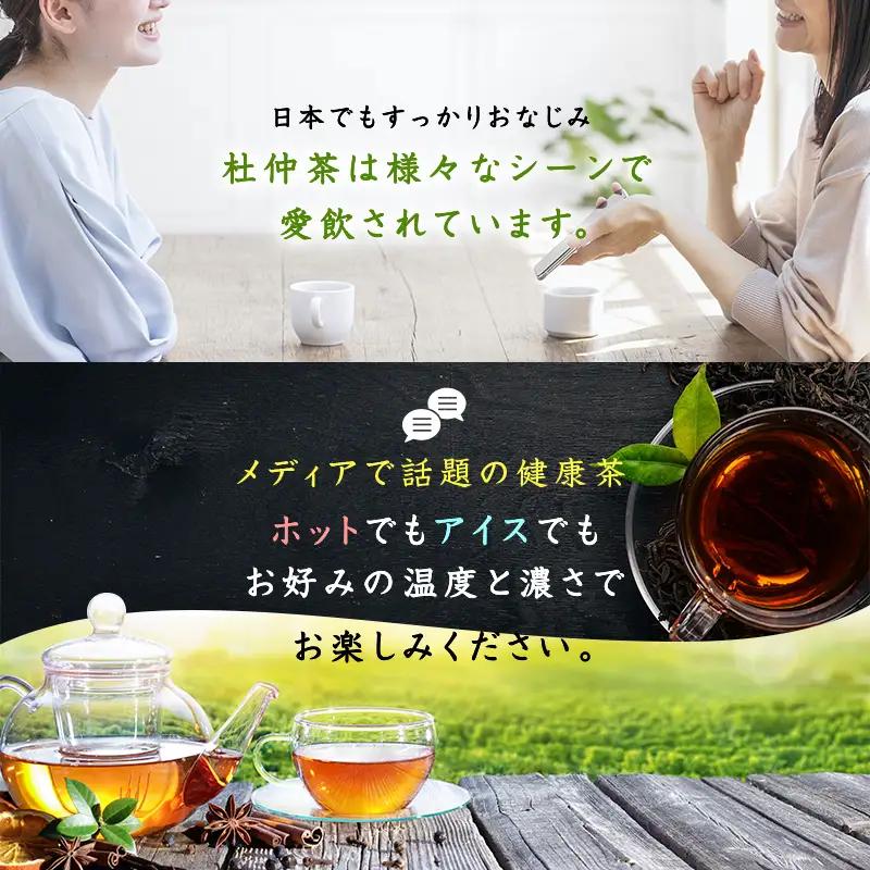 「全6回定期便」杜仲茶(24P×6本セット )×6回  2ヶ月に1回お届け