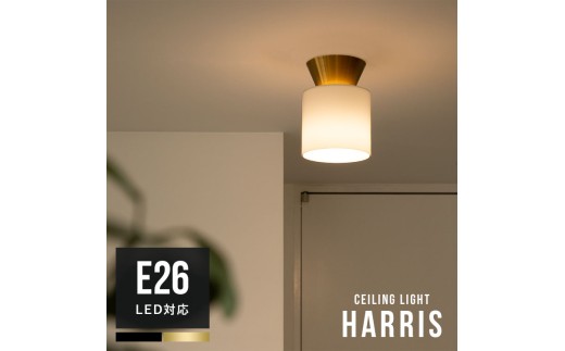 シーリングライト 1灯 ハリス ブラック Belled おしゃれ照明 一人暮らし 内玄関照明 照明 照明器具 北欧 インテリアライト LED 対応 洗面台 洗面所 電気 天井照明 直付け レトロ トイレ 階段 廊下 リビング照明 寝室 キッチン 和室 子供部屋 シンプル 丸形｜bbs-109｜C173