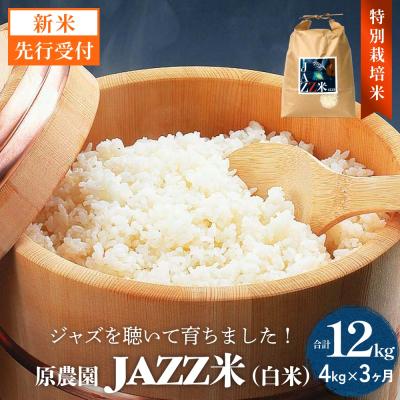 ふるさと納税 玖珠町 【令和8年産米先行受付】原農園 JAZZ米 白米 4kg にこまる 3回定期便 米