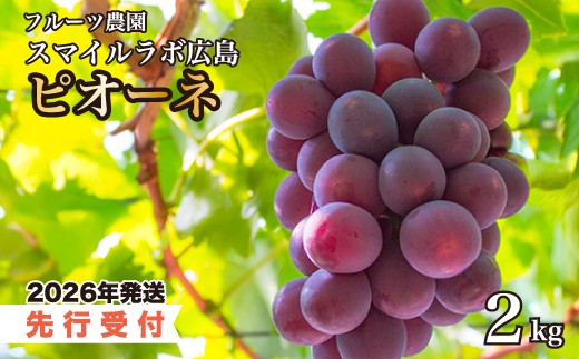 
            【先行受付】ピオーネ2kg ブドウ 葡萄 ピオーネ 新鮮 産地直送 広島県三原市 【2025年9月頃より順次発送】059002
          