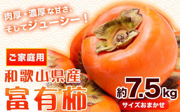 【先行予約】〈ご家庭用〉和歌山産 富有柿 約 7.5kg 厳選館 《2025年11月上旬-12月下旬頃出荷》 和歌山県 日高川町 柿 カキ かき ジューシー フルーツ(F)