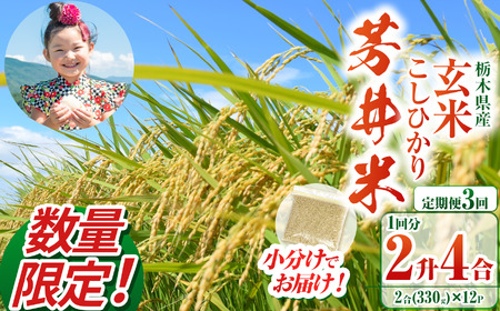 【ふるなび限定】【定期3回】【数量限定】【令和8年度産】那珂川町産芳井米 玄米 330g（2合分）×12 | こしひかり 米 ごはん  ふっくら もちもち  ふるさと納税 那珂川町 栃木県