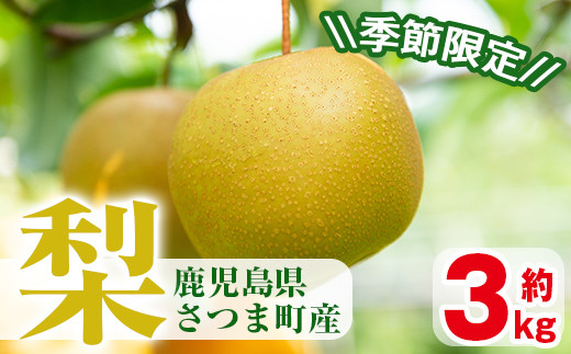 s112 ＜先行予約受付中！2025年8月下旬より順次発送予定＞《期間・数量限定》さつま町産の梨(3kg) 鹿児島 フルーツ 果物 果実 果汁【市山梨花園】