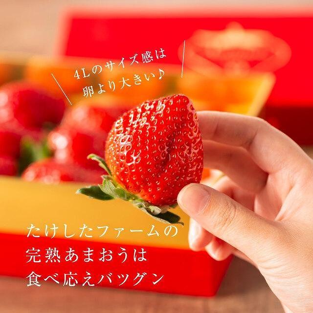 【2026年1月～4月出荷分予約販売】★希少4Lサイズ 450g ★赤のVIPボックスに入った宝石のような「完熟あまおう」！