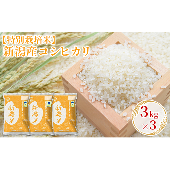 【特別栽培米】新潟産コシヒカリ 3kg×3 お米 精米 白米 ご飯 ブランド米 銘柄米 おにぎり お弁当 産地直送 