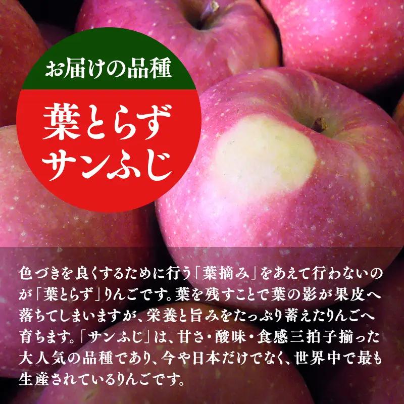 りんご 葉とらずサンふじ 特選３kg 【青森県 平川市 マルジンサンアップル】 りんご