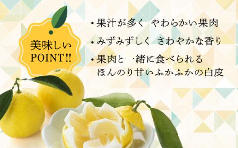 【先行受付】初春の旬「日向夏」種なし 5kg 果物 フルーツ くだもの 柑橘 フルーツサンド おやつ スイーツ デザート ジャム おすすめ ギフト 贈り物 贈答 プレゼント おすそ分け お返し 宮崎県