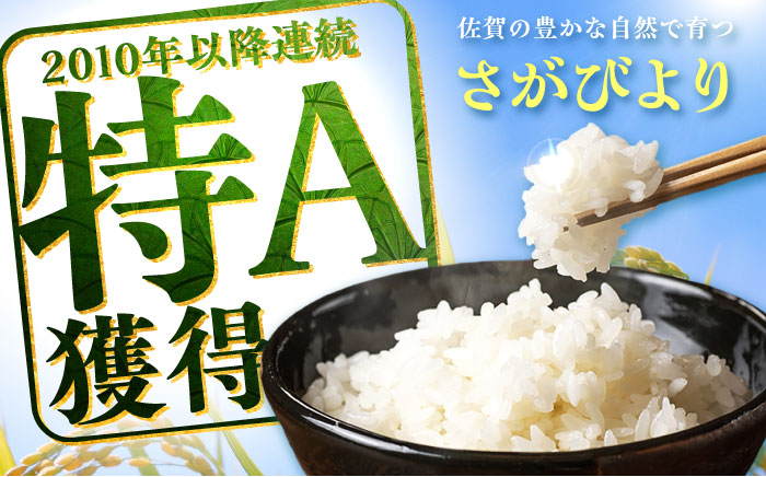 【5kg✕6回定期便】【令和7年産】さがびより 計30kg（5kg✕6回）吉野ヶ里町/増田米穀  [FBM003]