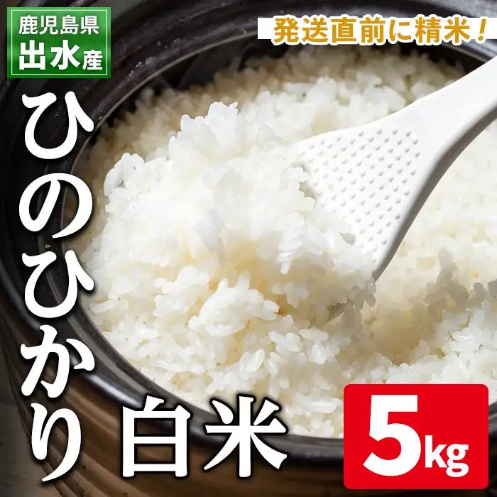白米 鹿児島県 ひのひかり 5kg 出水市産 【田上商店】i310 
