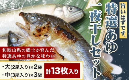 「旨いはずです。」特選あゆ一夜干しセット(13枚入)　日高川漁業協同組合《90日以内に出荷予定(土日祝除く)》 和歌山県 日高川町 あゆ 鮎 魚 一夜干し st-p